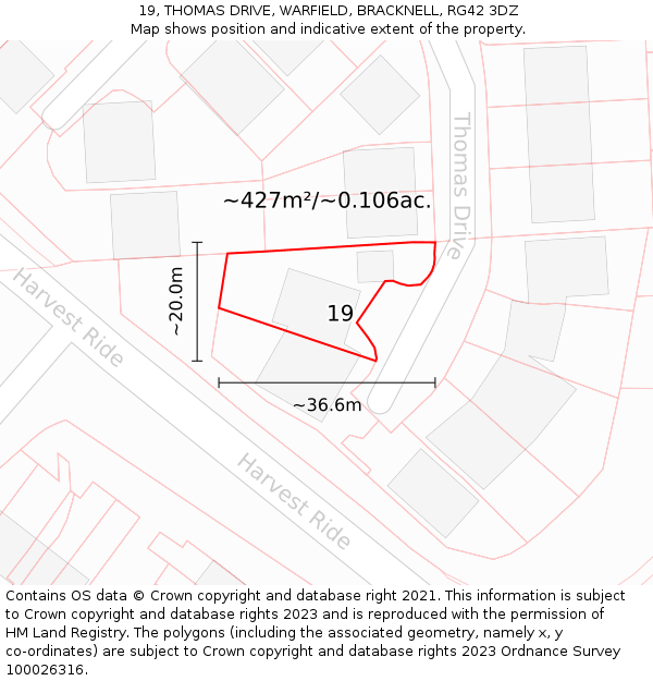 19, THOMAS DRIVE, WARFIELD, BRACKNELL, RG42 3DZ: Plot and title map