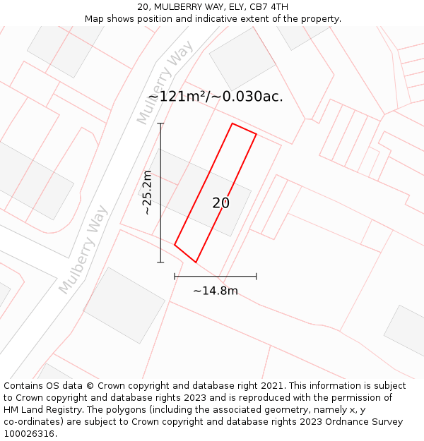 20, MULBERRY WAY, ELY, CB7 4TH: Plot and title map