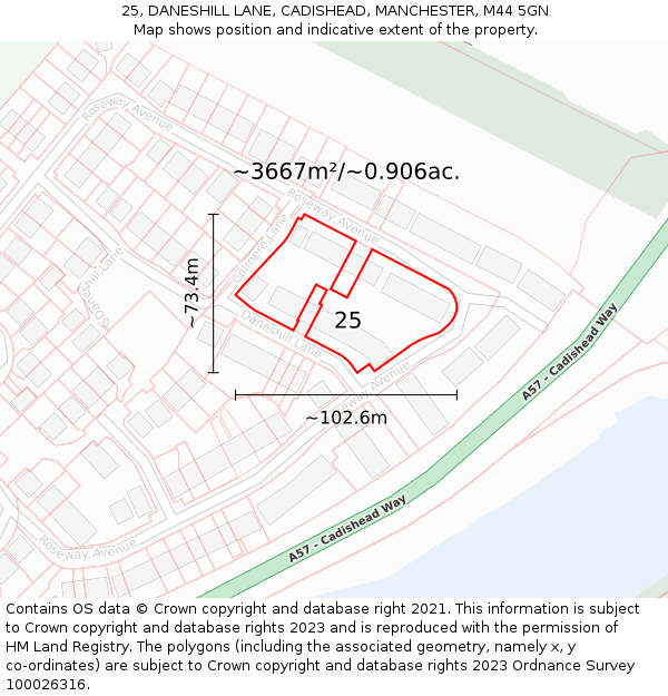 25, DANESHILL LANE, CADISHEAD, MANCHESTER, M44 5GN: Plot and title map