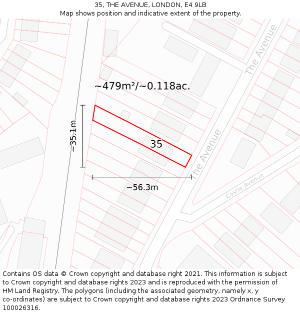 35, THE AVENUE, LONDON, E4 9LB: Plot and title map