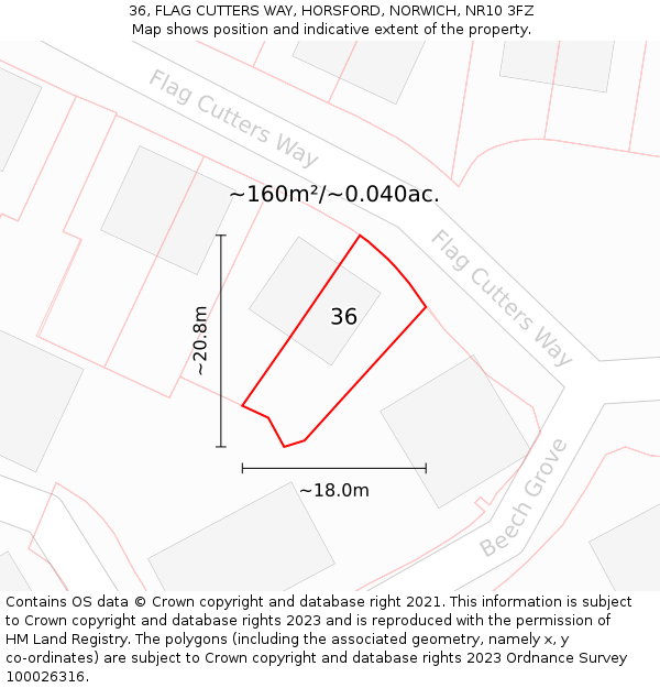 36, FLAG CUTTERS WAY, HORSFORD, NORWICH, NR10 3FZ: Plot and title map