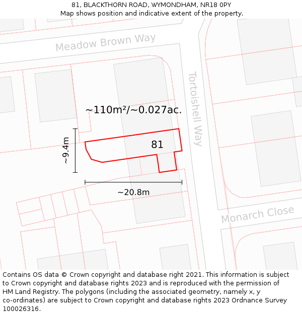 81, BLACKTHORN ROAD, WYMONDHAM, NR18 0PY: Plot and title map