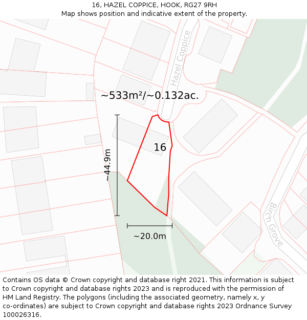 16, HAZEL COPPICE, HOOK, RG27 9RH: Plot and title map