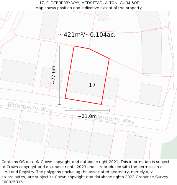 17, ELDERBERRY WAY, MEDSTEAD, ALTON, GU34 5QF: Plot and title map