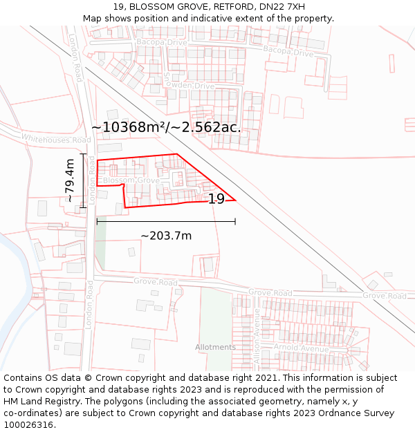 19, BLOSSOM GROVE, RETFORD, DN22 7XH: Plot and title map
