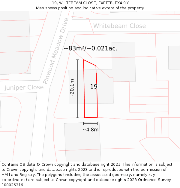 19, WHITEBEAM CLOSE, EXETER, EX4 9JY: Plot and title map