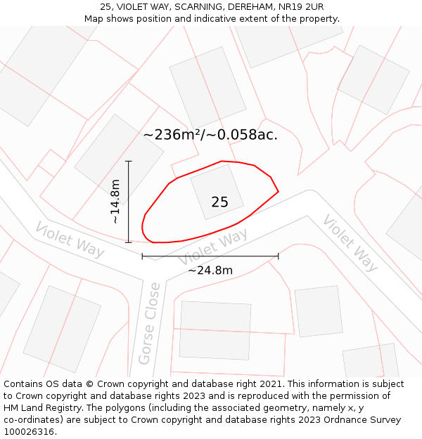 25, VIOLET WAY, SCARNING, DEREHAM, NR19 2UR: Plot and title map