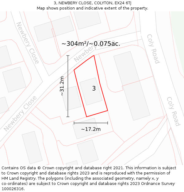 3, NEWBERY CLOSE, COLYTON, EX24 6TJ: Plot and title map