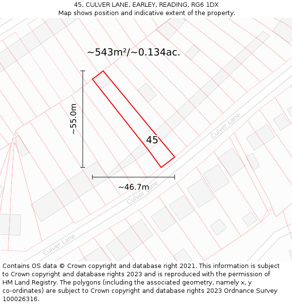 45, CULVER LANE, EARLEY, READING, RG6 1DX: Plot and title map