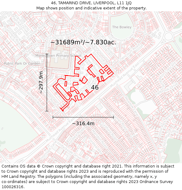 46, TAMARIND DRIVE, LIVERPOOL, L11 1JQ: Plot and title map