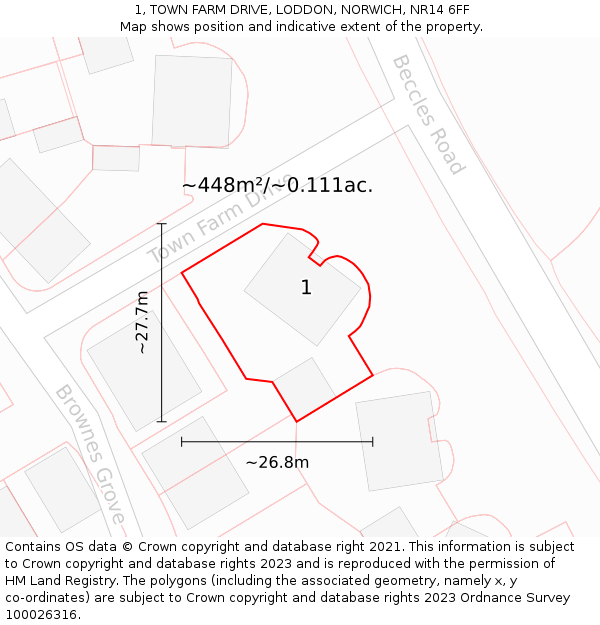 1, TOWN FARM DRIVE, LODDON, NORWICH, NR14 6FF: Plot and title map