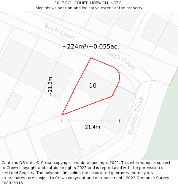 10, BIRCH COURT, NORWICH, NR7 8LJ: Plot and title map