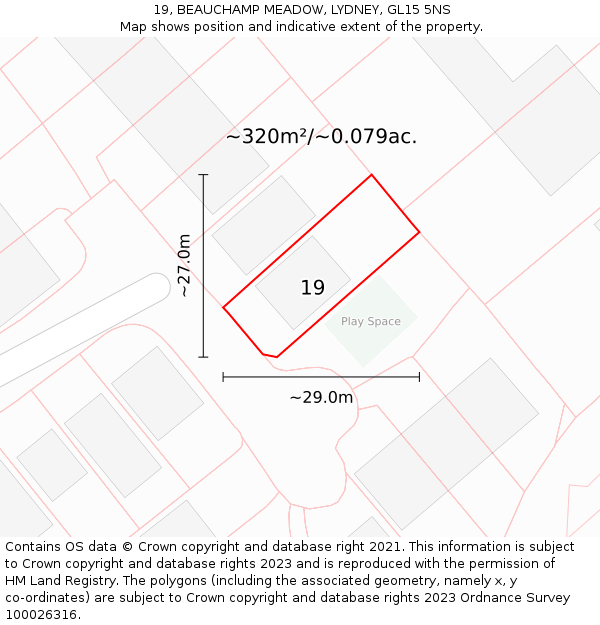 19, BEAUCHAMP MEADOW, LYDNEY, GL15 5NS: Plot and title map