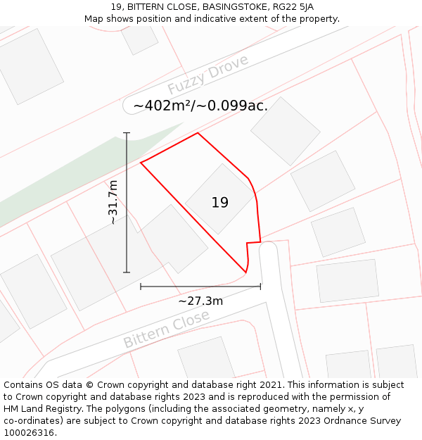 19, BITTERN CLOSE, BASINGSTOKE, RG22 5JA: Plot and title map