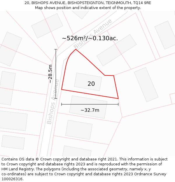 20, BISHOPS AVENUE, BISHOPSTEIGNTON, TEIGNMOUTH, TQ14 9RE: Plot and title map