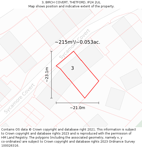 3, BIRCH COVERT, THETFORD, IP24 2UL: Plot and title map