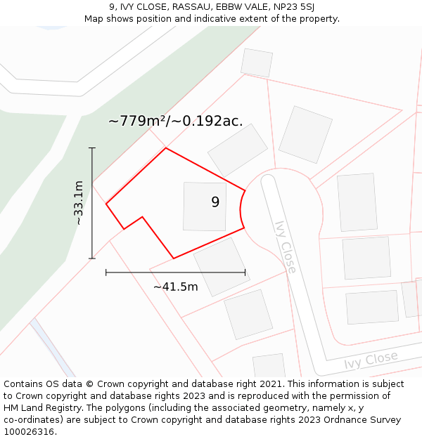9, IVY CLOSE, RASSAU, EBBW VALE, NP23 5SJ: Plot and title map