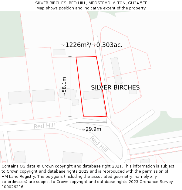 SILVER BIRCHES, RED HILL, MEDSTEAD, ALTON, GU34 5EE: Plot and title map