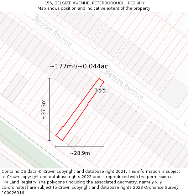 155, BELSIZE AVENUE, PETERBOROUGH, PE2 9HY: Plot and title map