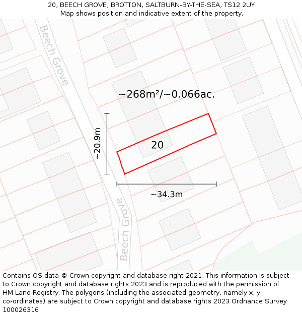 20, BEECH GROVE, BROTTON, SALTBURN-BY-THE-SEA, TS12 2UY: Plot and title map