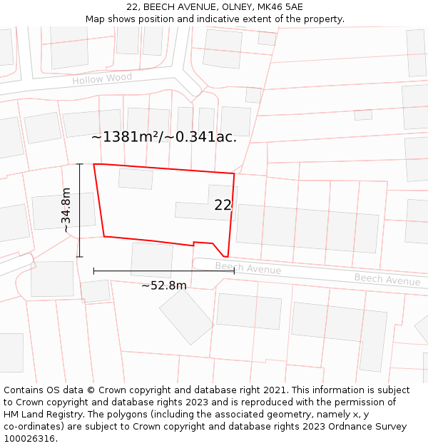 22, BEECH AVENUE, OLNEY, MK46 5AE: Plot and title map