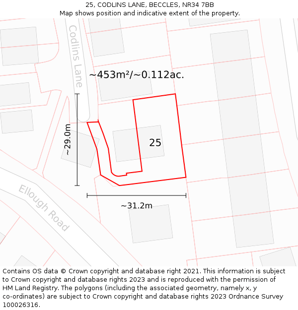 25, CODLINS LANE, BECCLES, NR34 7BB: Plot and title map