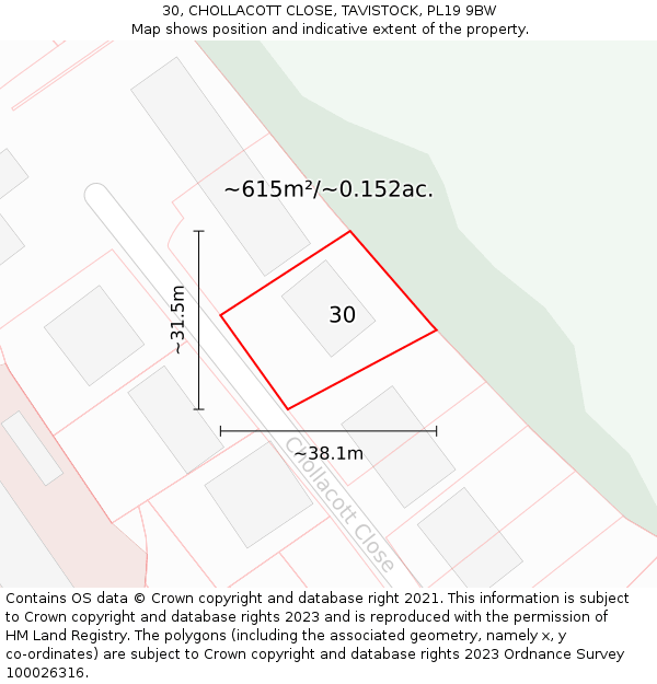 30, CHOLLACOTT CLOSE, TAVISTOCK, PL19 9BW: Plot and title map