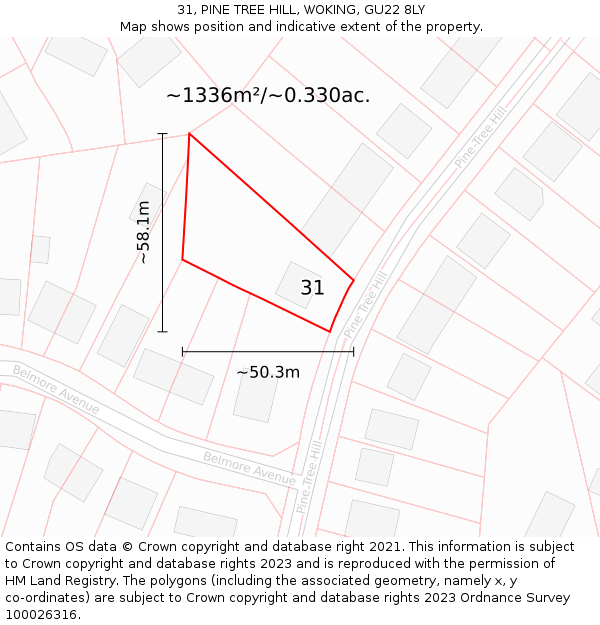 31, PINE TREE HILL, WOKING, GU22 8LY: Plot and title map