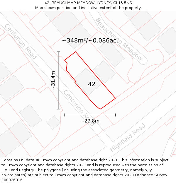 42, BEAUCHAMP MEADOW, LYDNEY, GL15 5NS: Plot and title map