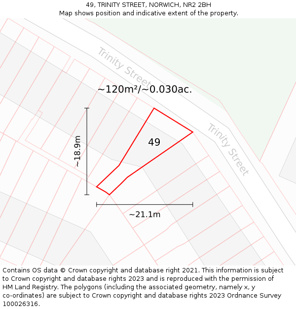 49, TRINITY STREET, NORWICH, NR2 2BH: Plot and title map