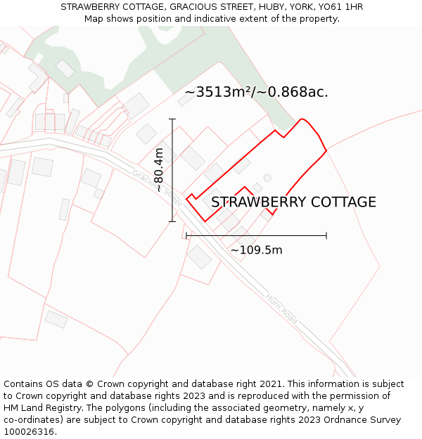 STRAWBERRY COTTAGE, GRACIOUS STREET, HUBY, YORK, YO61 1HR: Plot and title map