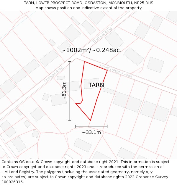 TARN, LOWER PROSPECT ROAD, OSBASTON, MONMOUTH, NP25 3HS: Plot and title map