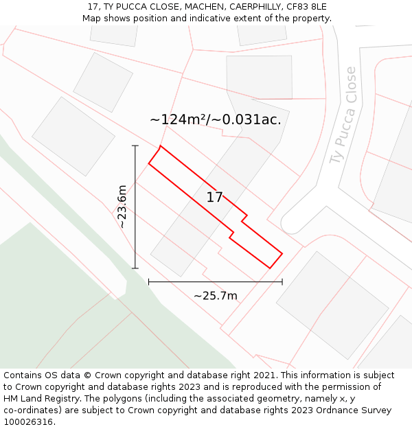 17, TY PUCCA CLOSE, MACHEN, CAERPHILLY, CF83 8LE: Plot and title map