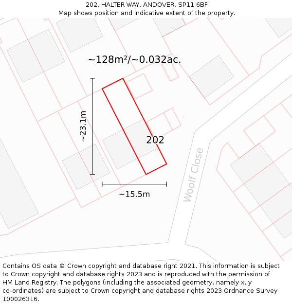 202, HALTER WAY, ANDOVER, SP11 6BF: Plot and title map