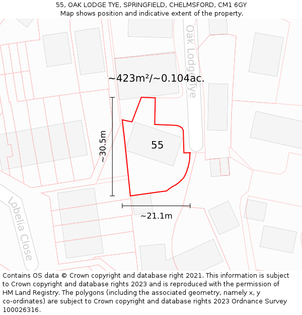 55, OAK LODGE TYE, SPRINGFIELD, CHELMSFORD, CM1 6GY: Plot and title map