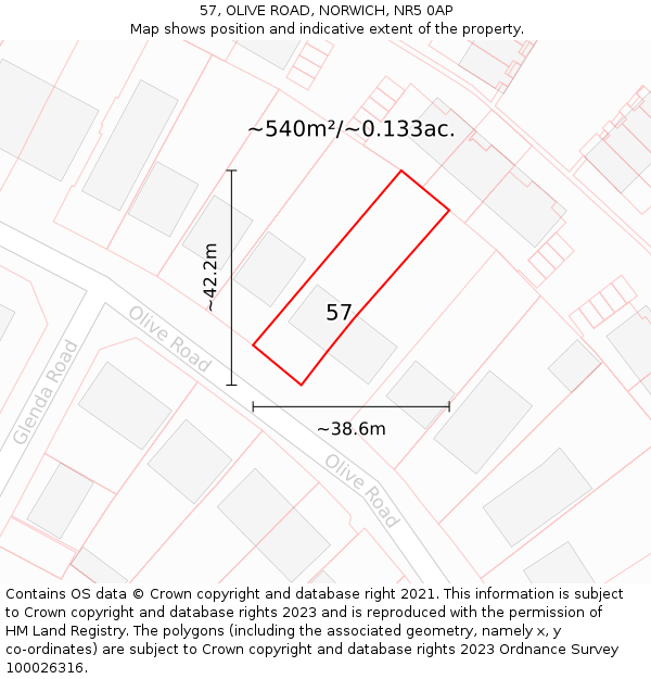 57, OLIVE ROAD, NORWICH, NR5 0AP: Plot and title map