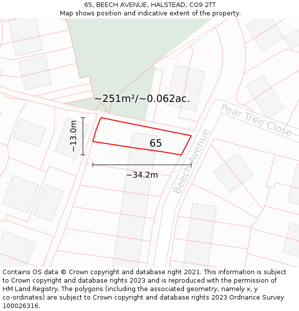 65, BEECH AVENUE, HALSTEAD, CO9 2TT: Plot and title map