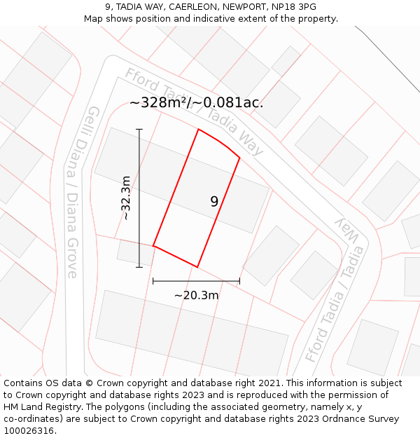 9, TADIA WAY, CAERLEON, NEWPORT, NP18 3PG: Plot and title map