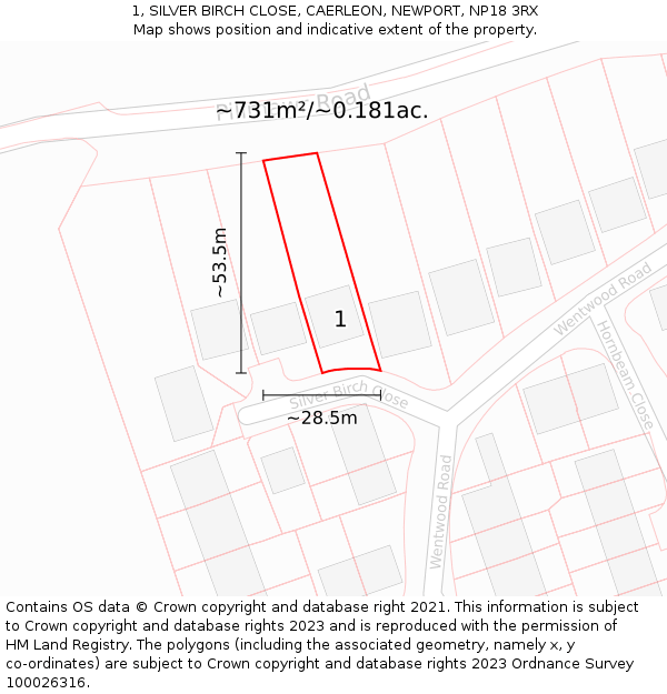 1, SILVER BIRCH CLOSE, CAERLEON, NEWPORT, NP18 3RX: Plot and title map