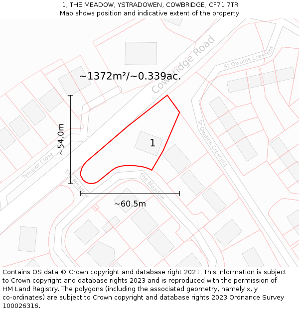 1, THE MEADOW, YSTRADOWEN, COWBRIDGE, CF71 7TR: Plot and title map