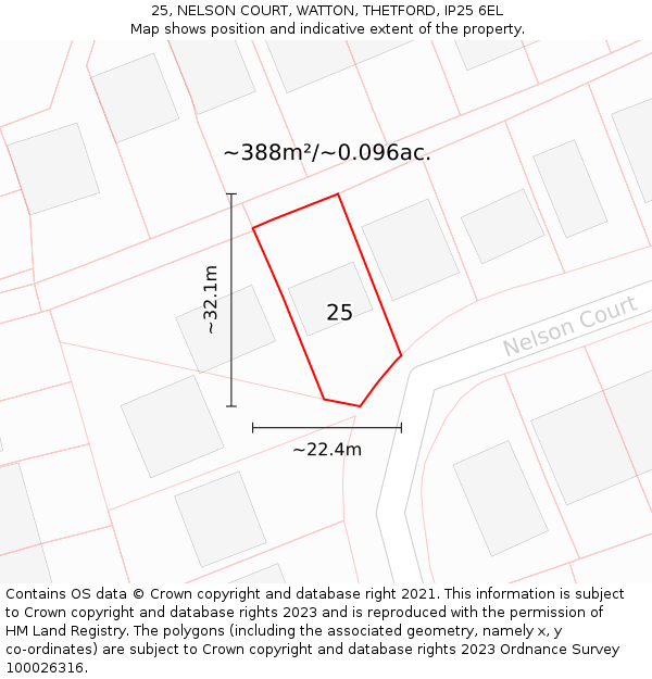 25, NELSON COURT, WATTON, THETFORD, IP25 6EL: Plot and title map