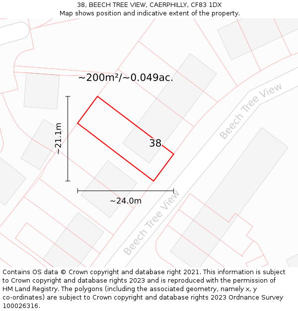 38, BEECH TREE VIEW, CAERPHILLY, CF83 1DX: Plot and title map