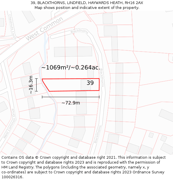 39, BLACKTHORNS, LINDFIELD, HAYWARDS HEATH, RH16 2AX: Plot and title map