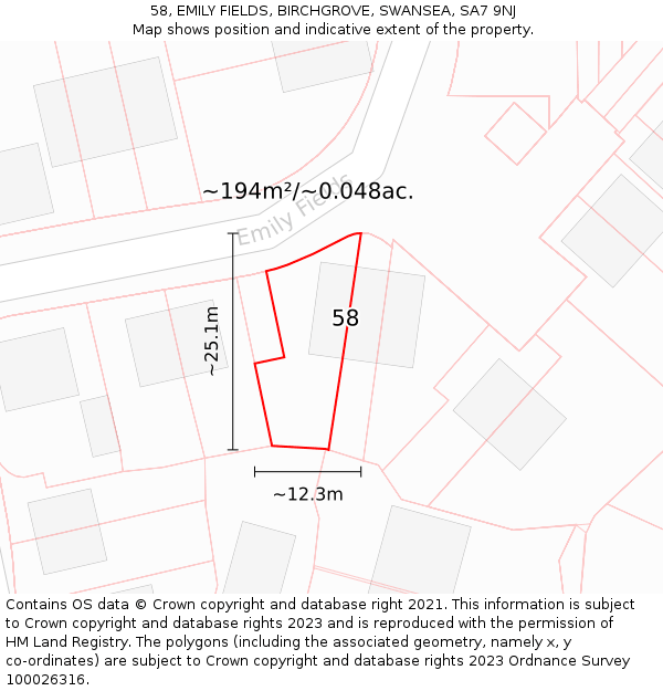 58, EMILY FIELDS, BIRCHGROVE, SWANSEA, SA7 9NJ: Plot and title map