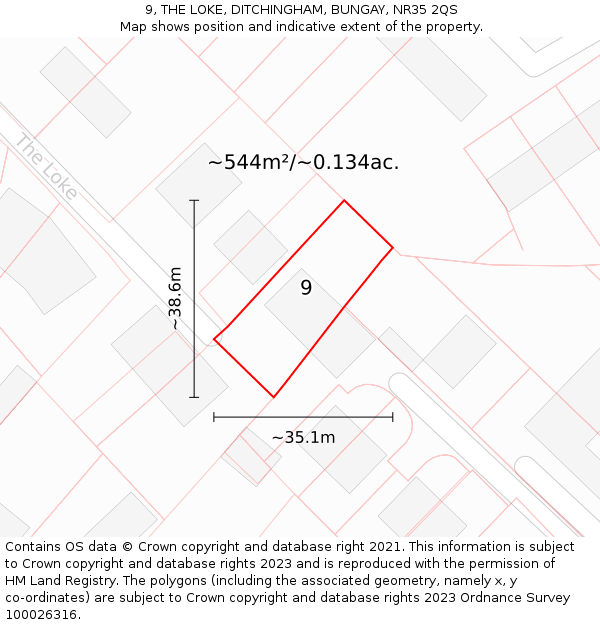 9, THE LOKE, DITCHINGHAM, BUNGAY, NR35 2QS: Plot and title map