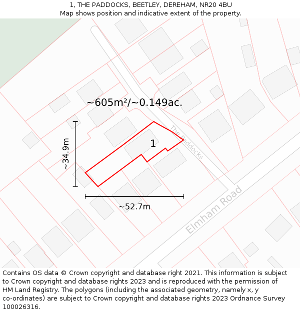 1, THE PADDOCKS, BEETLEY, DEREHAM, NR20 4BU: Plot and title map