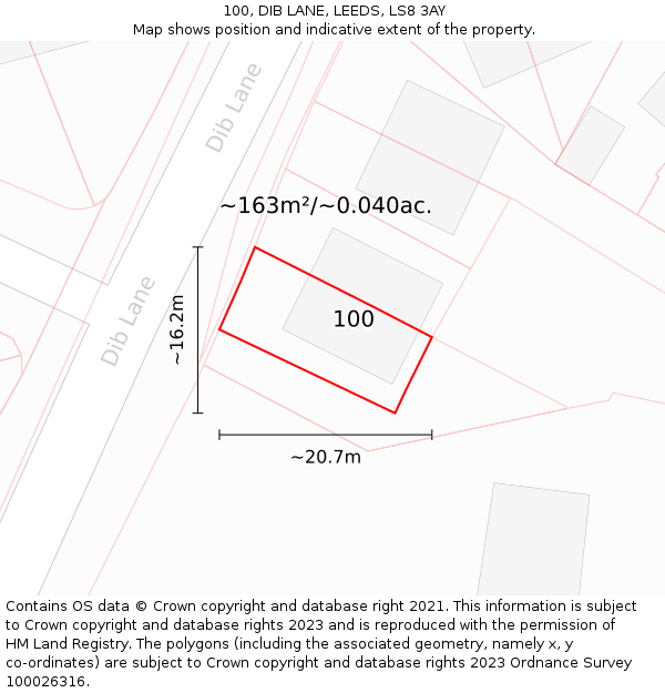 100, DIB LANE, LEEDS, LS8 3AY: Plot and title map