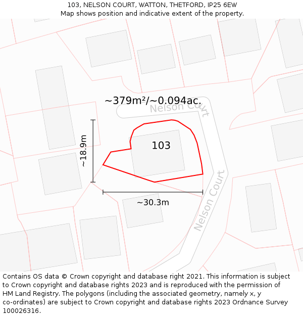 103, NELSON COURT, WATTON, THETFORD, IP25 6EW: Plot and title map