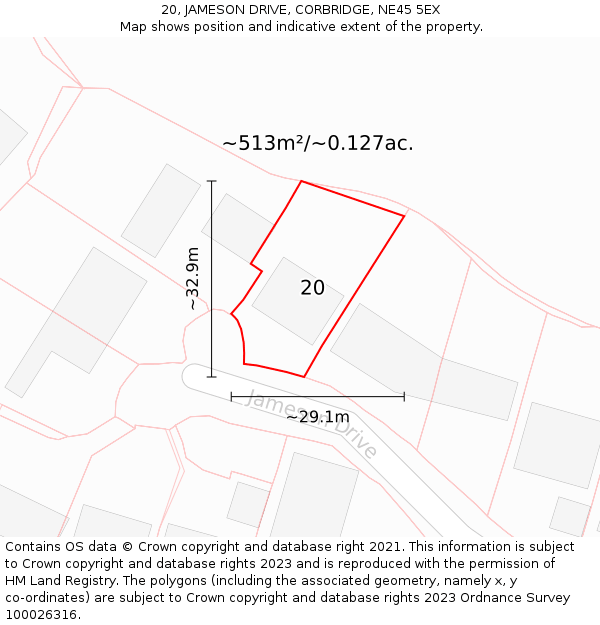 20, JAMESON DRIVE, CORBRIDGE, NE45 5EX: Plot and title map