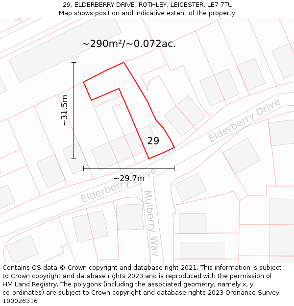 29, ELDERBERRY DRIVE, ROTHLEY, LEICESTER, LE7 7TU: Plot and title map